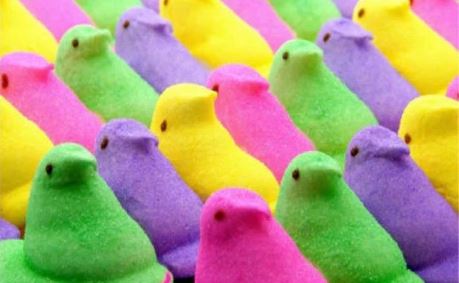 Pioneer Press Peeps Diorama Contest