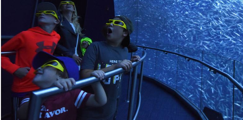 Wheretraveler.com Contest