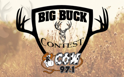 Cow 97 Big Buck Contest