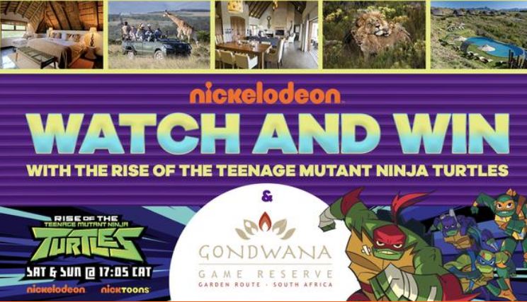Nickelodeon Rise of the TMNT Competition