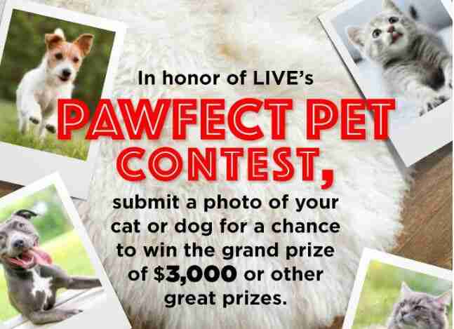 Kelly-and-Ryan-Pet-Contest