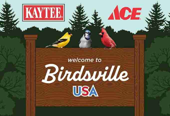 Birdsville-Sweepstakes