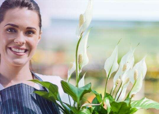 Galaxy-Grant-Giveaway