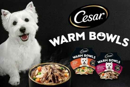 Cesar-Spin-Sweepstakes