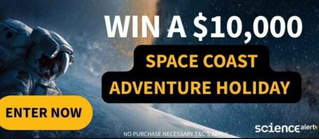 Sciencealert-Spark-Into-Space-Sweepstakes